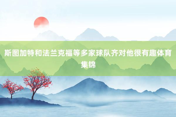 斯图加特和法兰克福等多家球队齐对他很有趣体育集锦