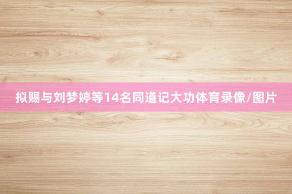 拟赐与刘梦婷等14名同道记大功体育录像/图片
