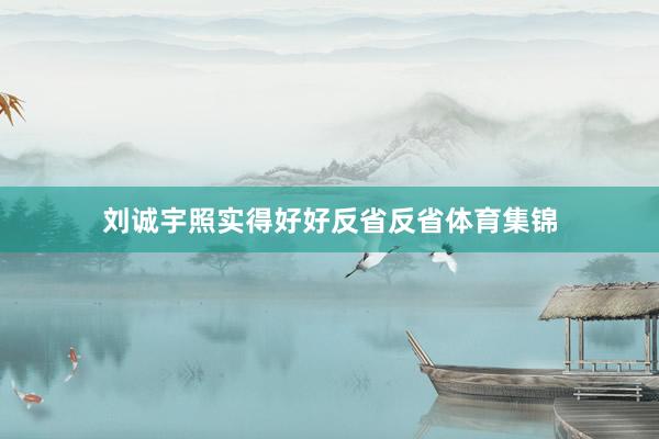 刘诚宇照实得好好反省反省体育集锦
