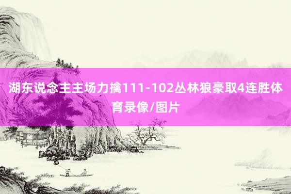 湖东说念主主场力擒111-102丛林狼豪取4连胜体育录像/图片