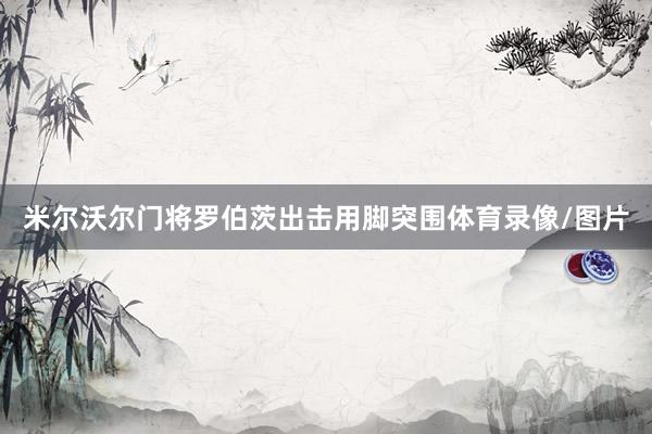 米尔沃尔门将罗伯茨出击用脚突围体育录像/图片