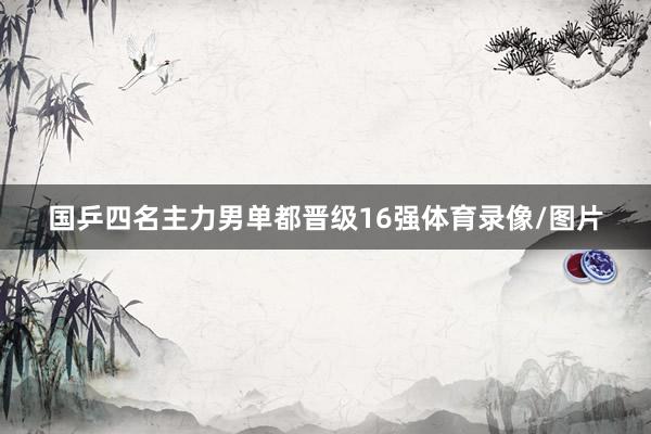 国乒四名主力男单都晋级16强体育录像/图片