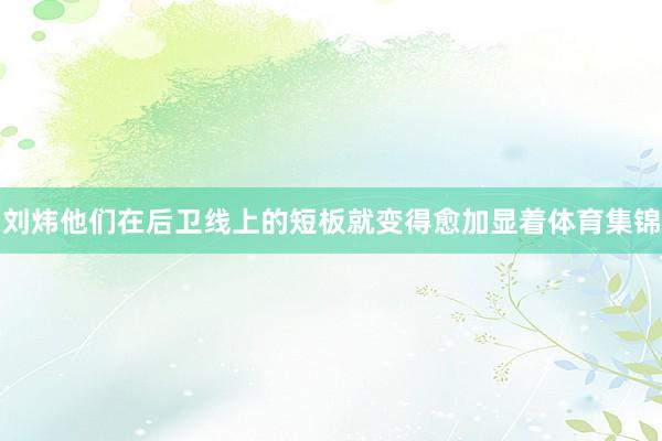 刘炜他们在后卫线上的短板就变得愈加显着体育集锦