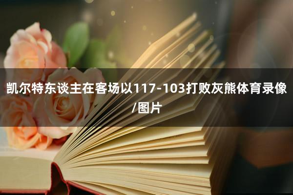 凯尔特东谈主在客场以117-103打败灰熊体育录像/图片