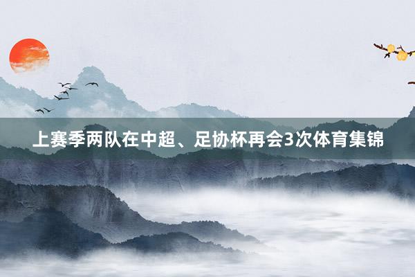 上赛季两队在中超、足协杯再会3次体育集锦