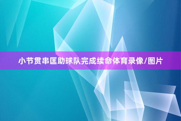 小节贯串匡助球队完成续命体育录像/图片