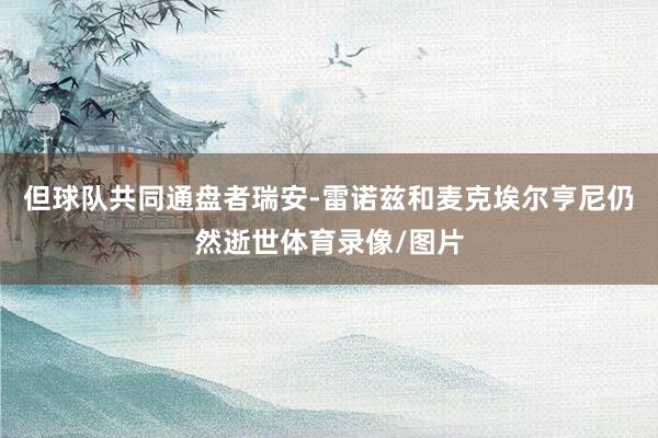 但球队共同通盘者瑞安-雷诺兹和麦克埃尔亨尼仍然逝世体育录像/图片