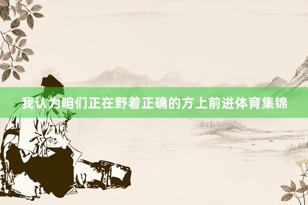 我认为咱们正在野着正确的方上前进体育集锦