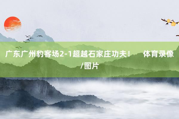 广东广州豹客场2-1超越石家庄功夫！    体育录像/图片