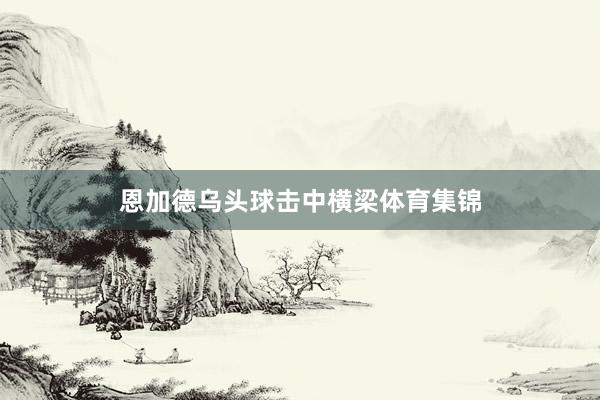 恩加德乌头球击中横梁体育集锦
