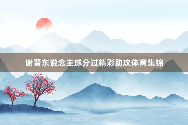 谢晋东说念主球分过精彩助攻体育集锦
