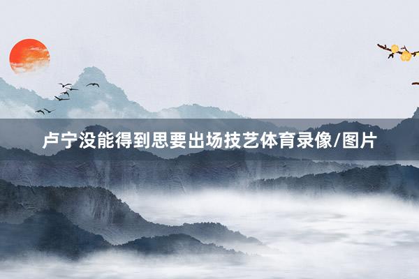 卢宁没能得到思要出场技艺体育录像/图片