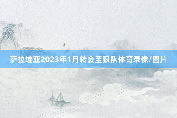 萨拉维亚2023年1月转会至狼队体育录像/图片