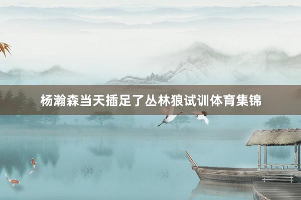 杨瀚森当天插足了丛林狼试训体育集锦