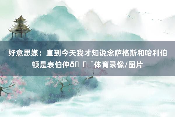 好意思媒：直到今天我才知说念萨格斯和哈利伯顿是表伯仲😯体育录像/图片