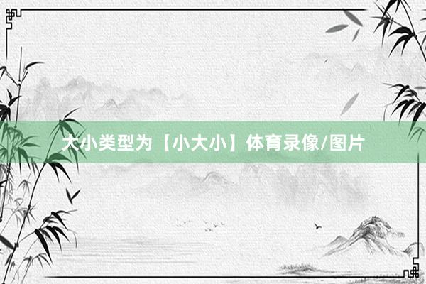 大小类型为【小大小】体育录像/图片