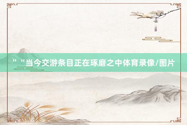 ”“当今交游条目正在琢磨之中体育录像/图片