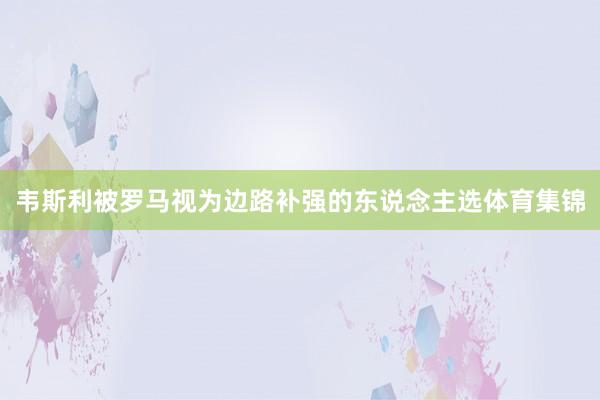韦斯利被罗马视为边路补强的东说念主选体育集锦