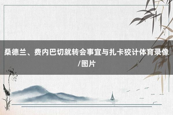 桑德兰、费内巴切就转会事宜与扎卡狡计体育录像/图片
