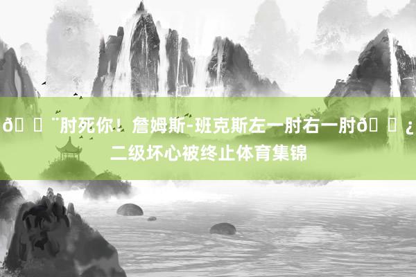 😨肘死你！詹姆斯-班克斯左一肘右一肘👿二级坏心被终止体育集锦
