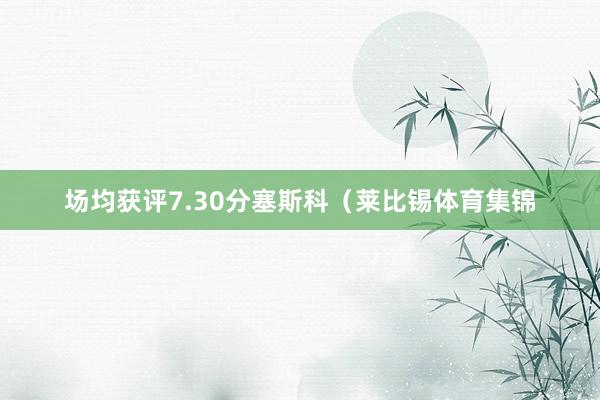 场均获评7.30分塞斯科（莱比锡体育集锦
