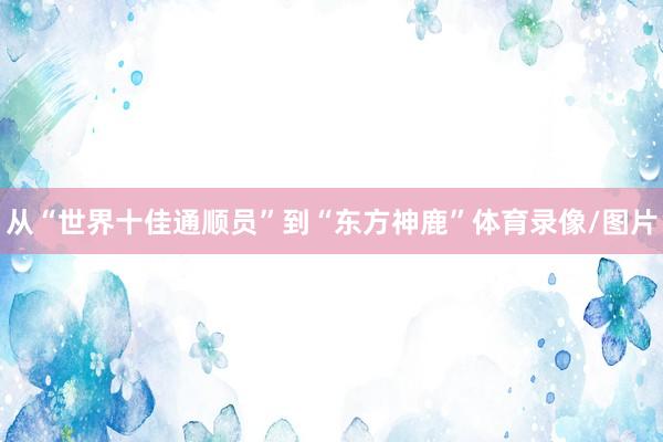 从“世界十佳通顺员”到“东方神鹿”体育录像/图片