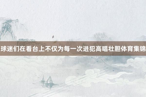 球迷们在看台上不仅为每一次进犯高唱壮胆体育集锦