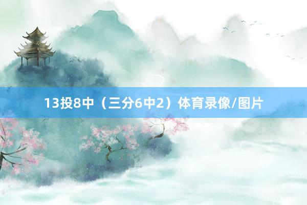 13投8中（三分6中2）体育录像/图片