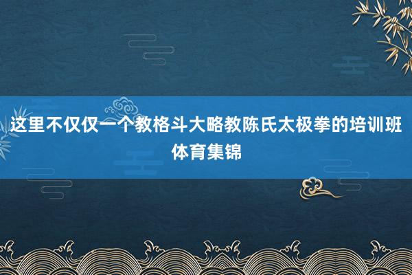 这里不仅仅一个教格斗大略教陈氏太极拳的培训班体育集锦