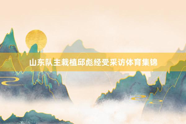山东队主栽植邱彪经受采访体育集锦