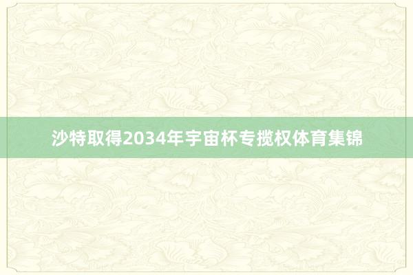沙特取得2034年宇宙杯专揽权体育集锦