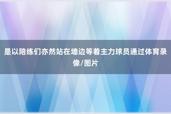 是以陪练们亦然站在墙边等着主力球员通过体育录像/图片