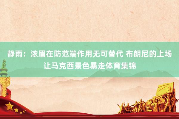 静雨：浓眉在防范端作用无可替代 布朗尼的上场让马克西景色暴走体育集锦