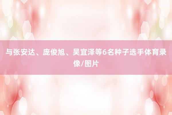 与张安达、庞俊旭、吴宜泽等6名种子选手体育录像/图片
