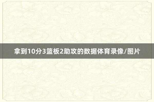 拿到10分3篮板2助攻的数据体育录像/图片