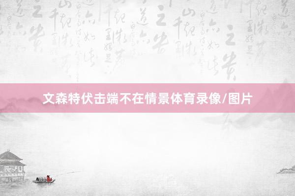 文森特伏击端不在情景体育录像/图片